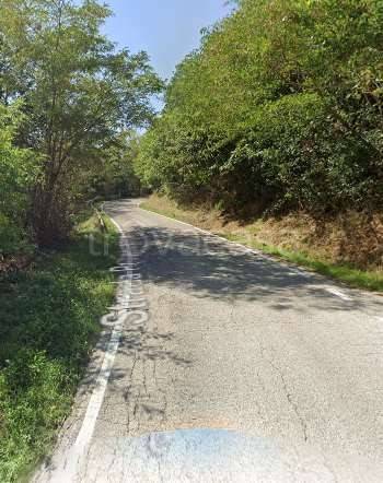 immagine annuncio 12 di 14