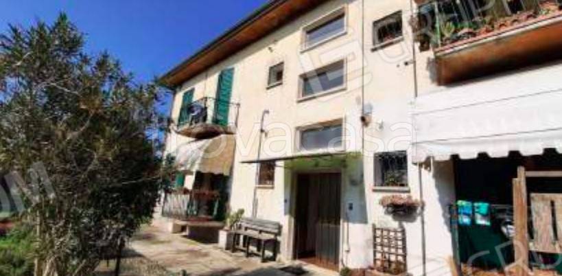 immagine annuncio 1 di 12