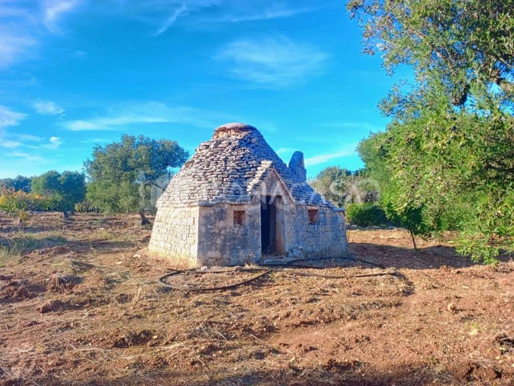 immagine annuncio 1 di 7