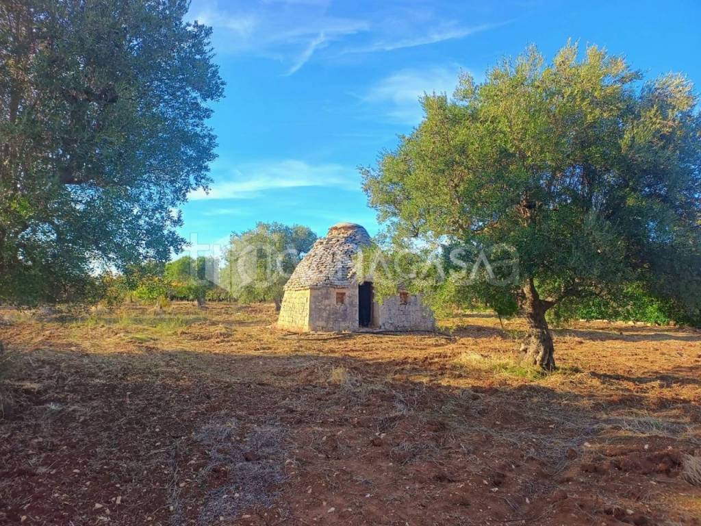 immagine annuncio 2 di 7