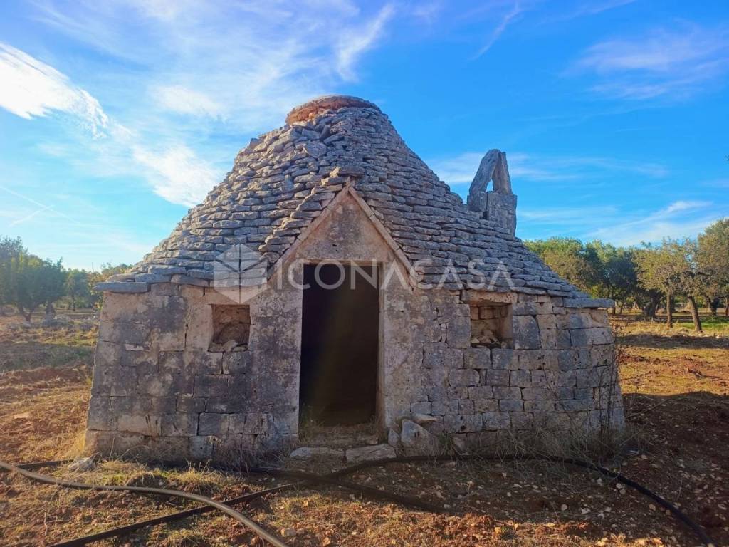 immagine annuncio 3 di 7