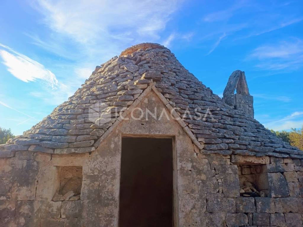 immagine annuncio 4 di 7