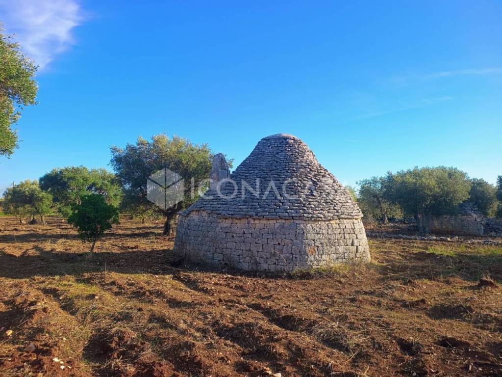 immagine annuncio 6 di 7