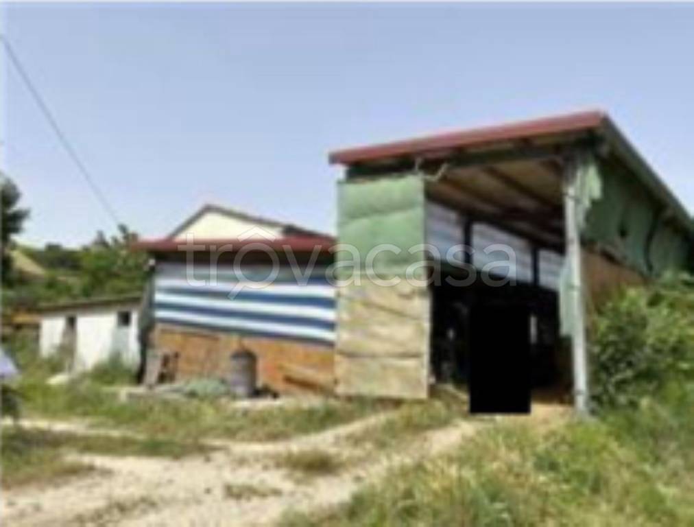 immagine annuncio 7 di 11