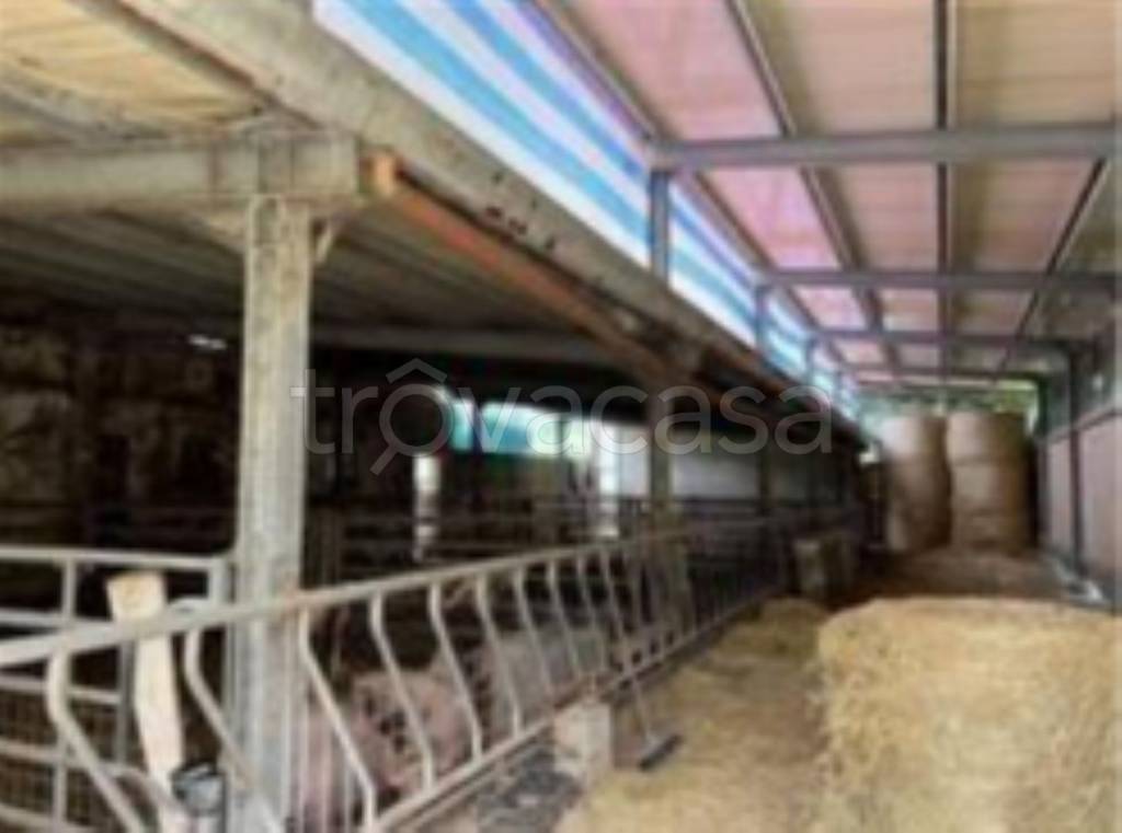 immagine annuncio 8 di 11