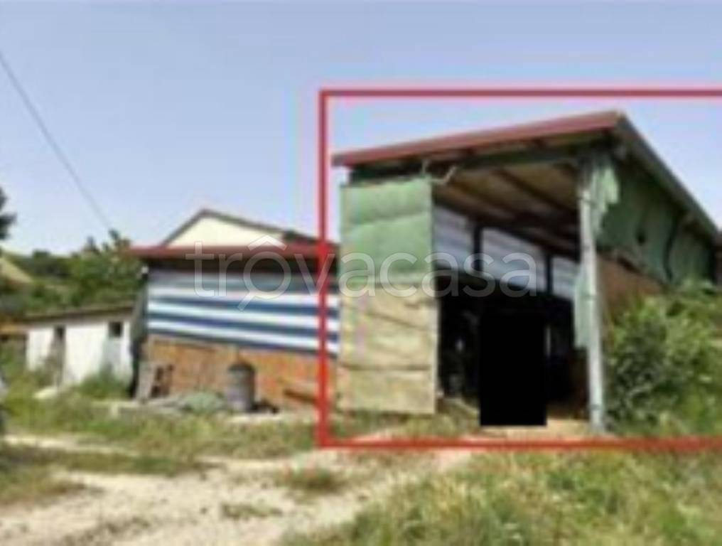 immagine annuncio 9 di 11