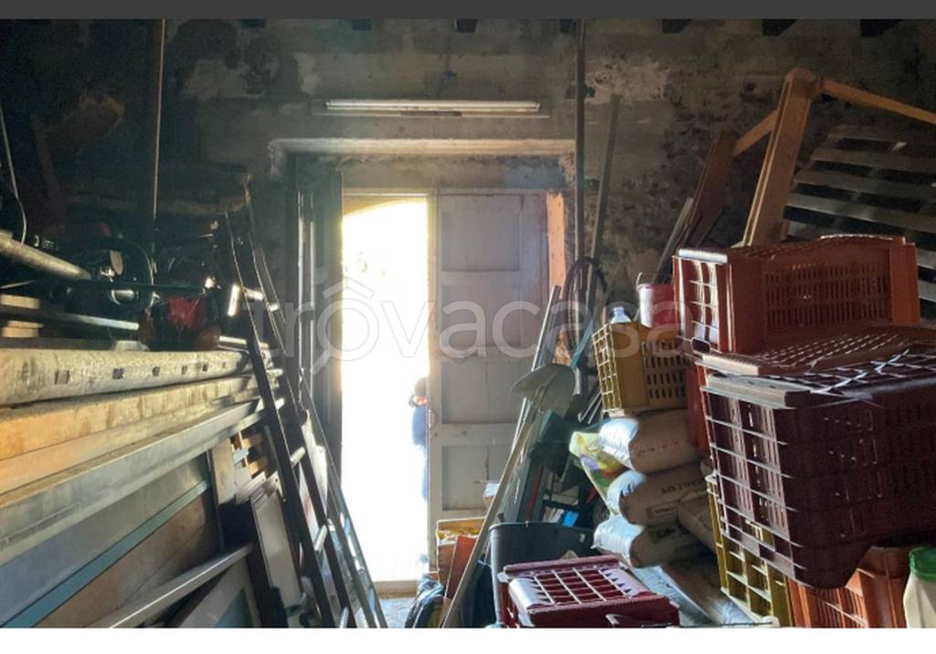 immagine annuncio 3 di 9