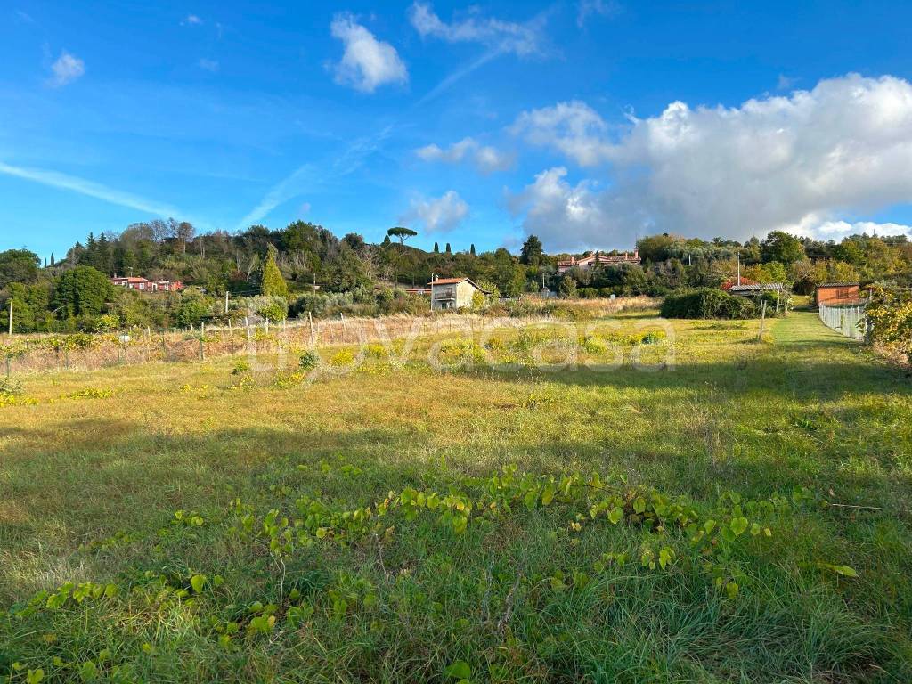 immagine annuncio 2 di 7