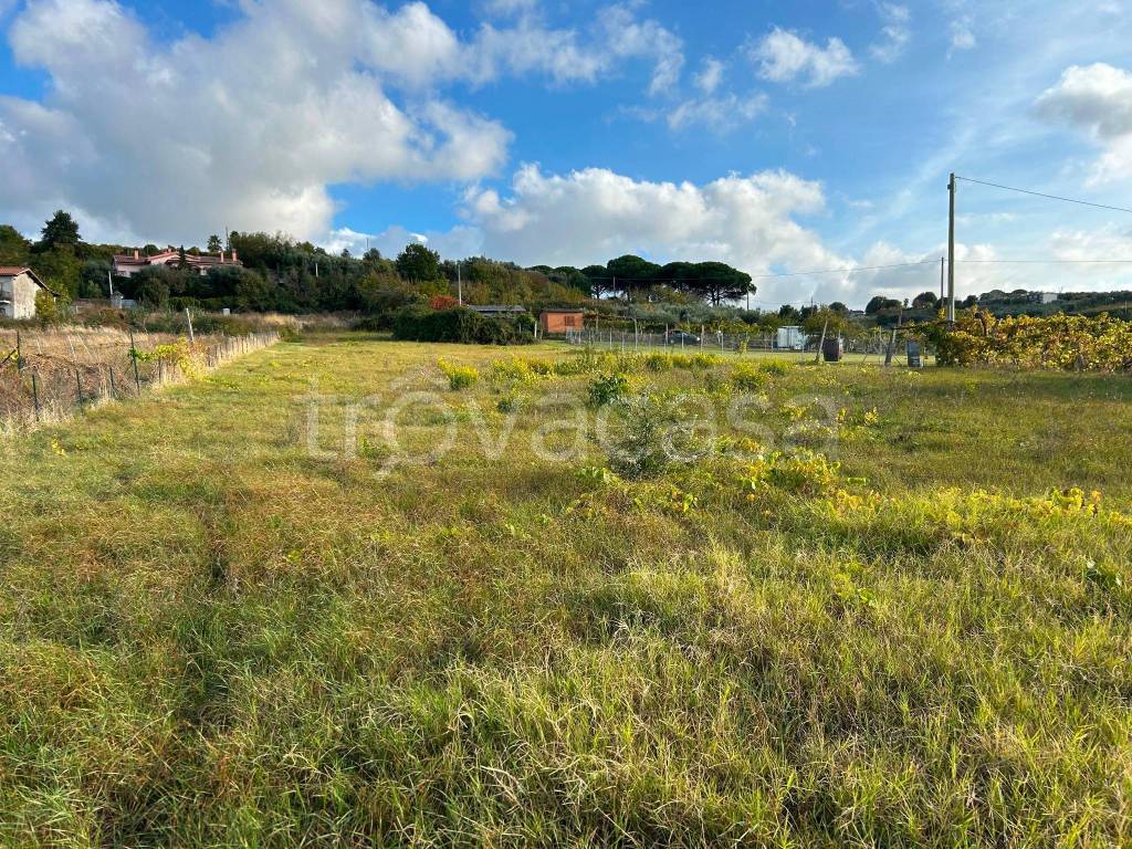 immagine annuncio 4 di 7