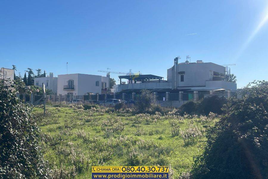 immagine annuncio 1 di 3