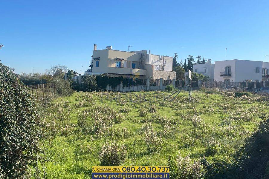 immagine annuncio 2 di 3