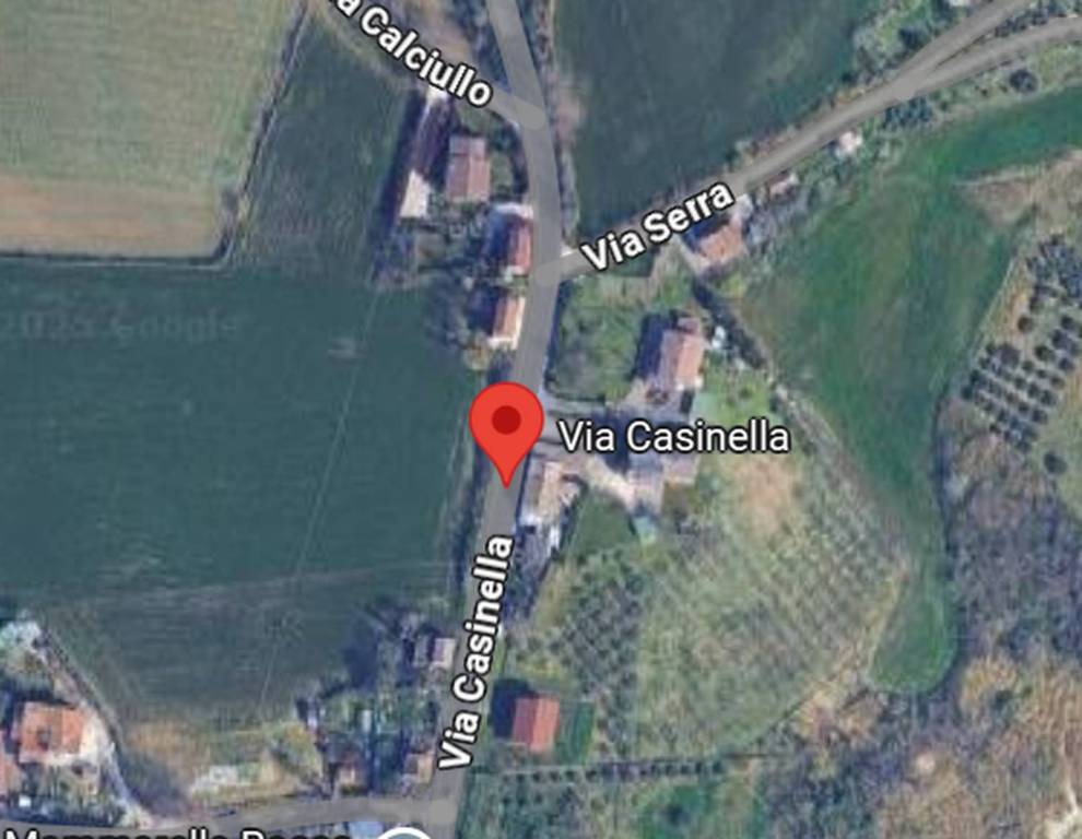 immagine annuncio 6 di 12