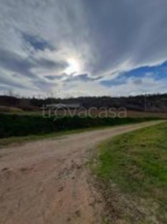 immagine annuncio 10 di 12