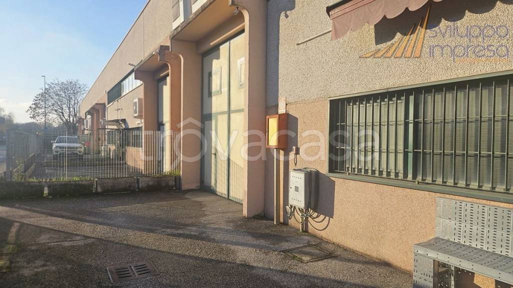 immagine annuncio 3 di 15