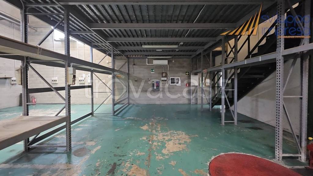 immagine annuncio 12 di 15