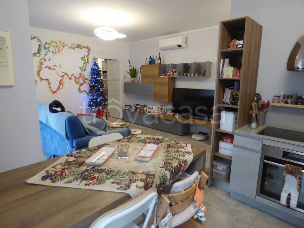 immagine annuncio 9 di 15