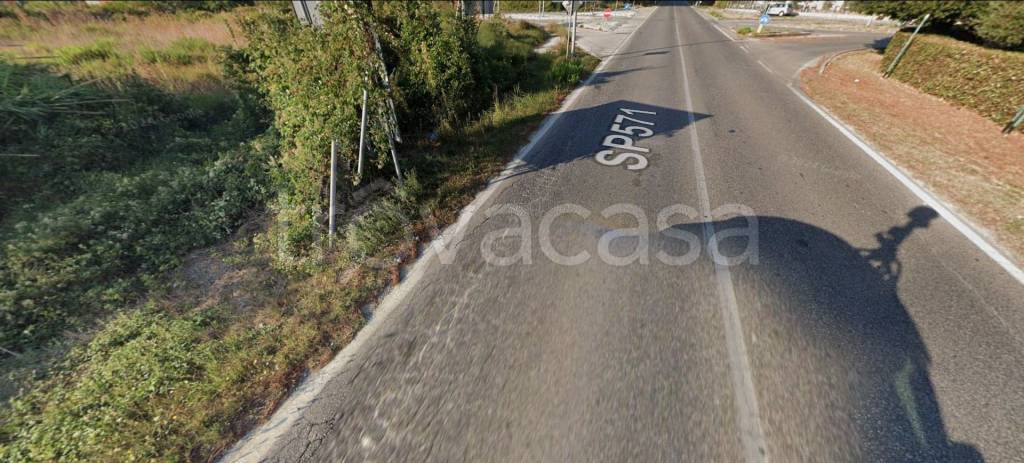 immagine annuncio 3 di 13