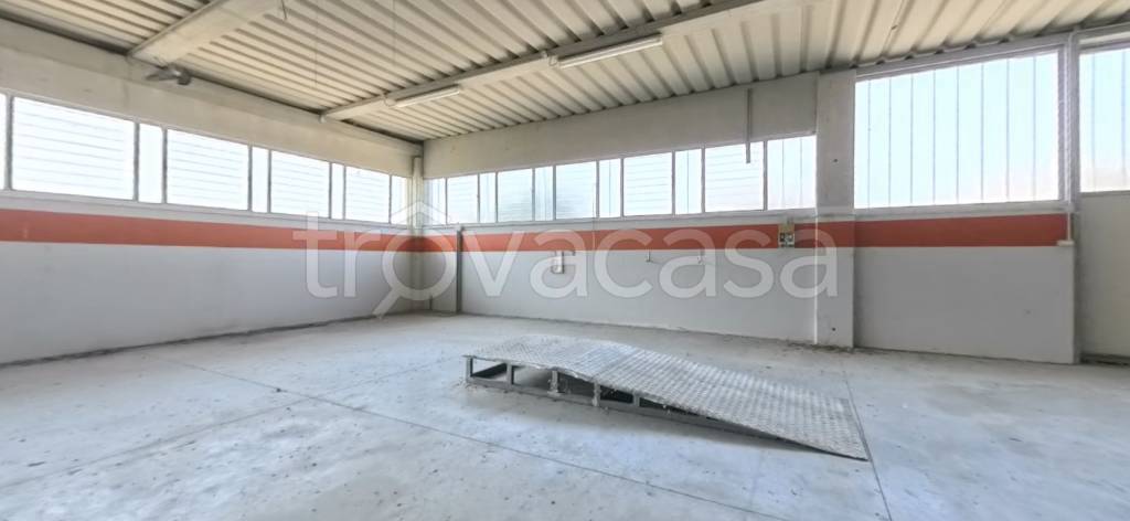 immagine annuncio 9 di 13