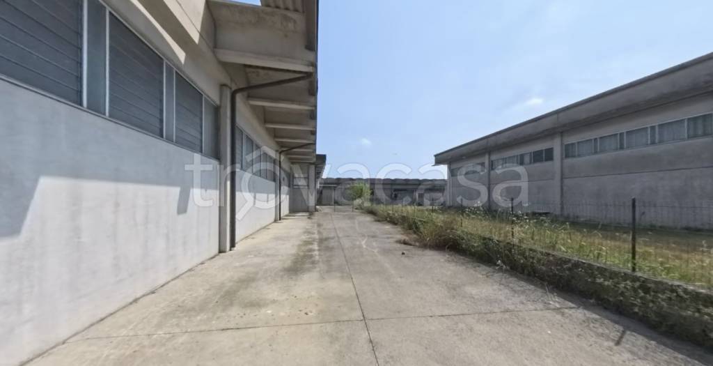 immagine annuncio 10 di 13