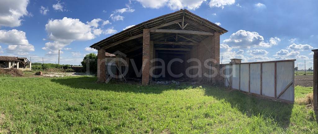 immagine annuncio 5 di 11