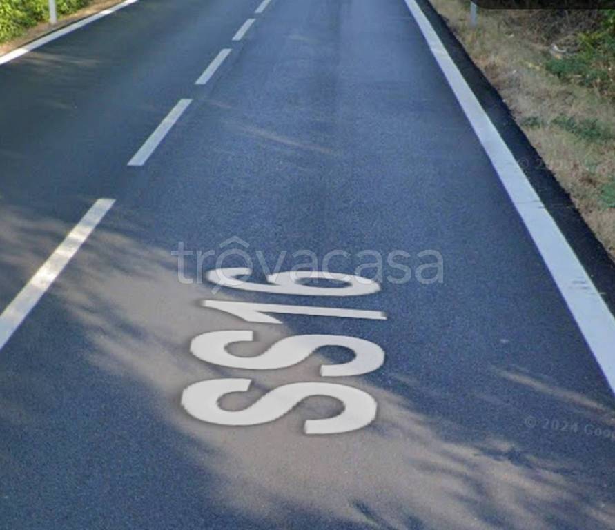 immagine annuncio 6 di 12