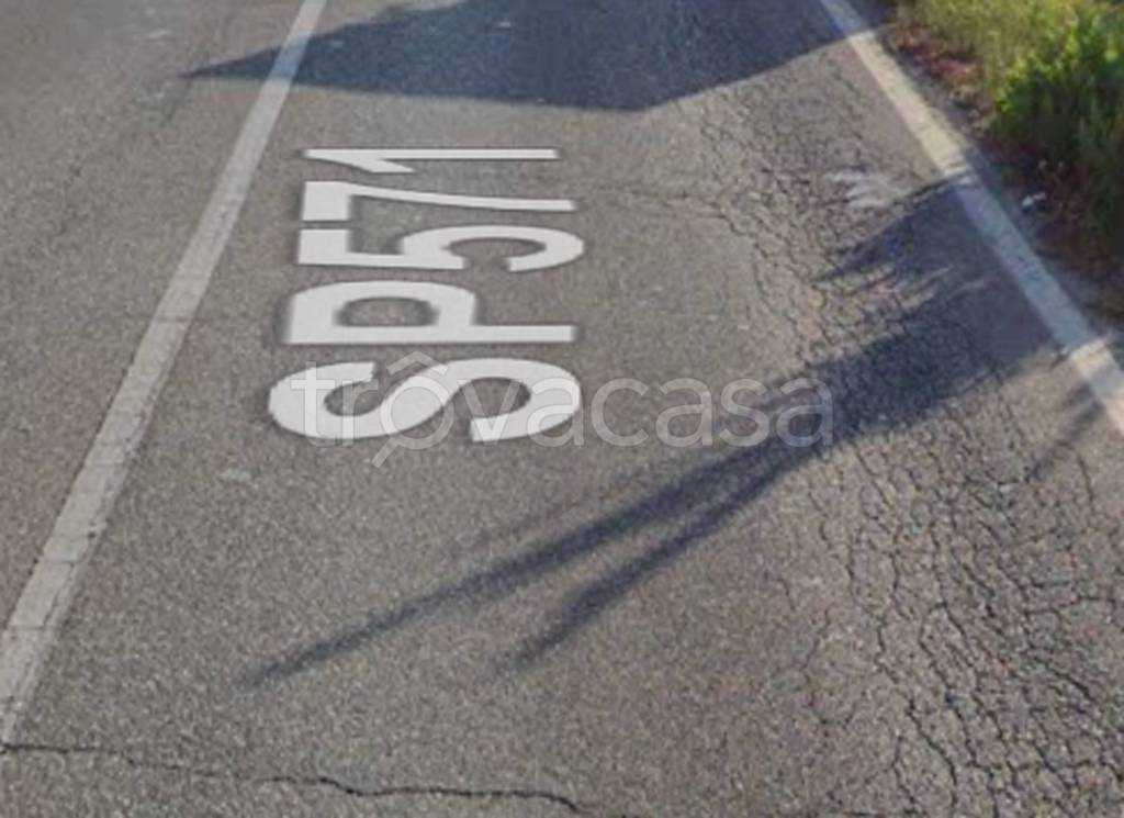 immagine annuncio 10 di 12