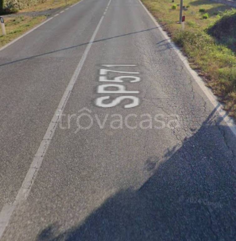 immagine annuncio 11 di 12