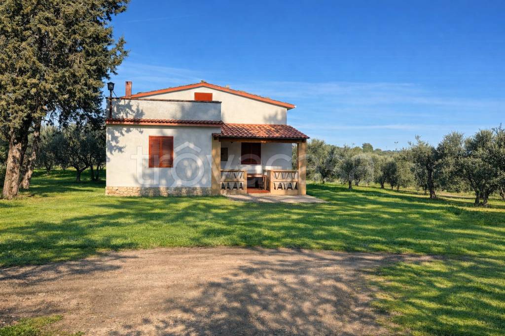 immagine annuncio 5 di 7