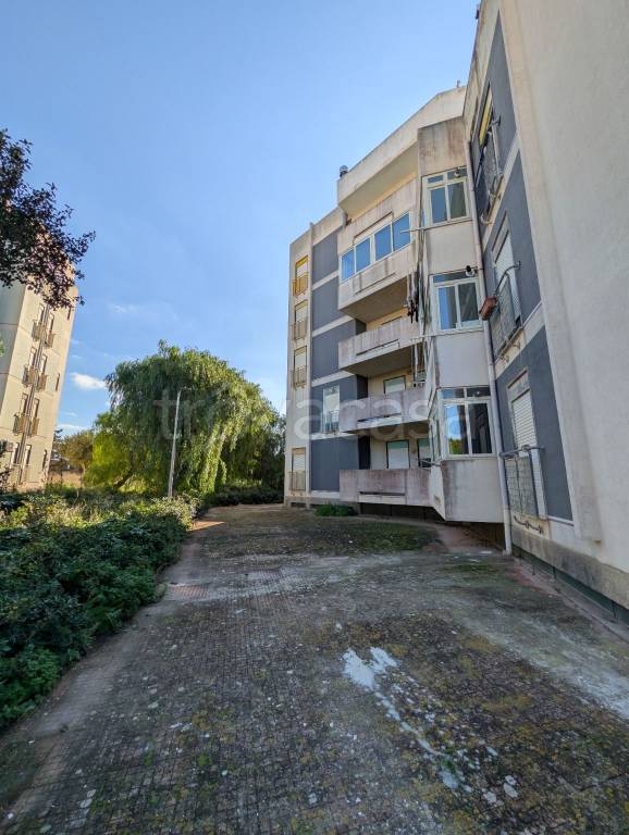 immagine annuncio 12 di 13