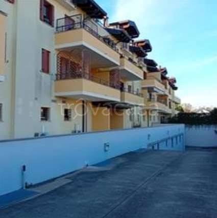 immagine annuncio 4 di 12