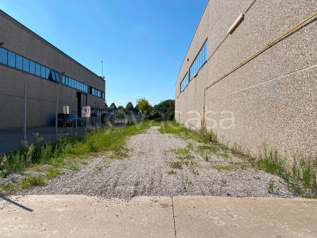 immagine annuncio 4 di 15