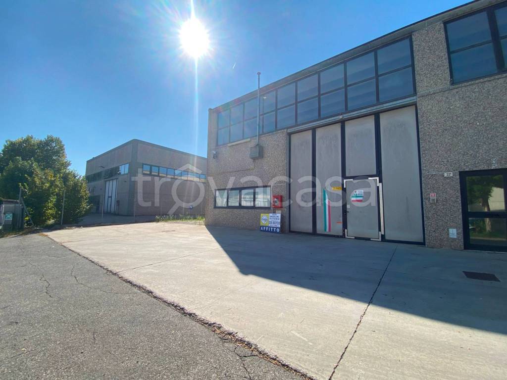 immagine annuncio 7 di 15