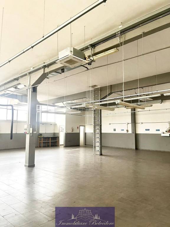 immagine annuncio 2 di 11