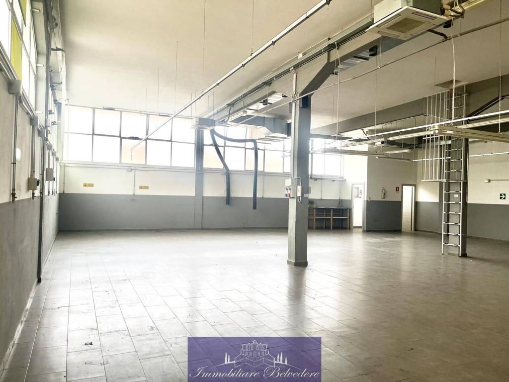 immagine annuncio 3 di 11