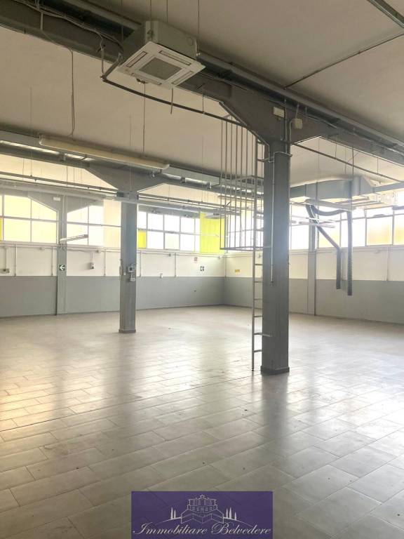 immagine annuncio 5 di 11