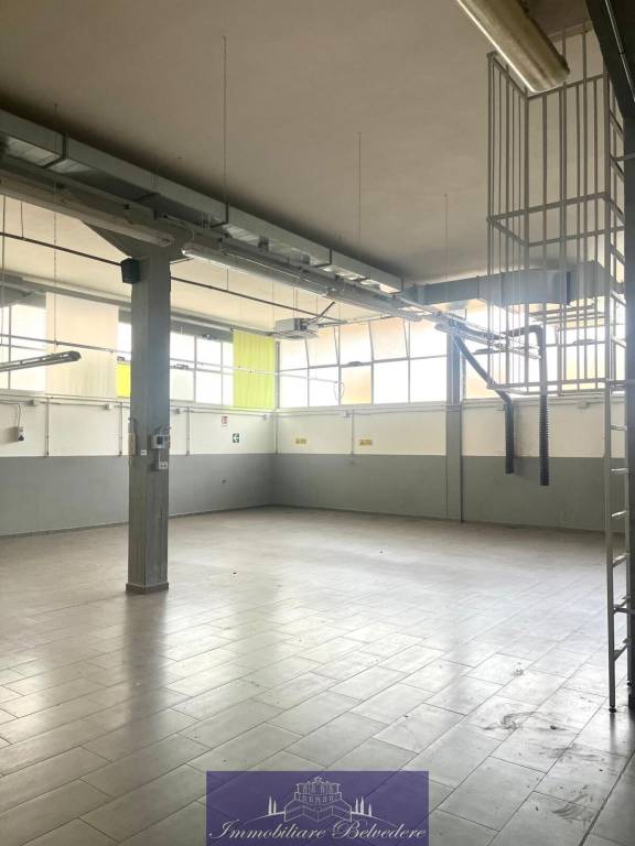 immagine annuncio 6 di 11