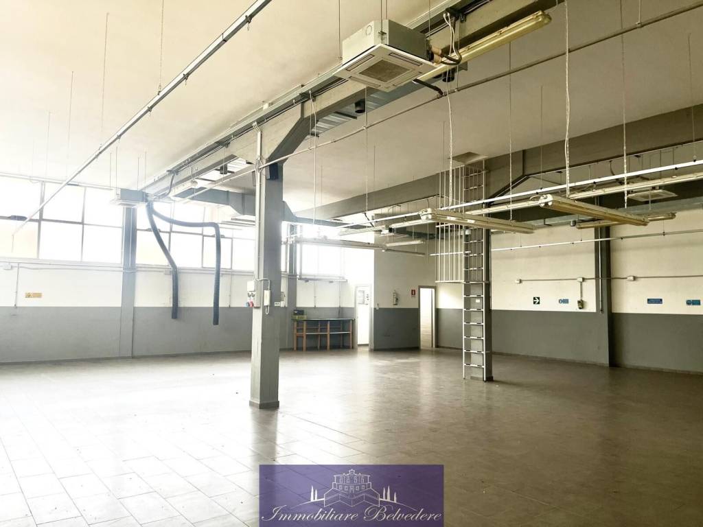 immagine annuncio 10 di 11