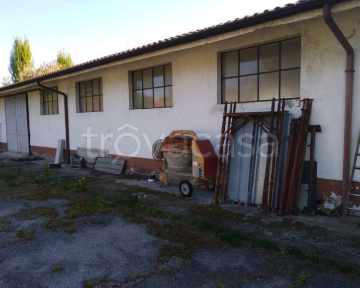 immagine annuncio 4 di 14