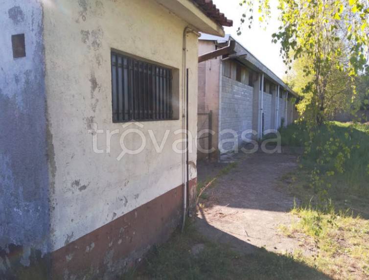 immagine annuncio 7 di 14