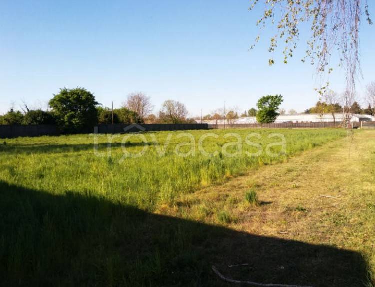 immagine annuncio 8 di 14