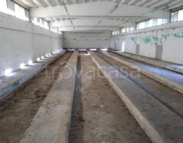 immagine annuncio 9 di 14