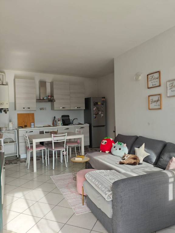 immagine annuncio 1 di 10