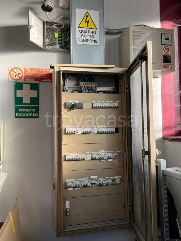 immagine annuncio 11 di 13