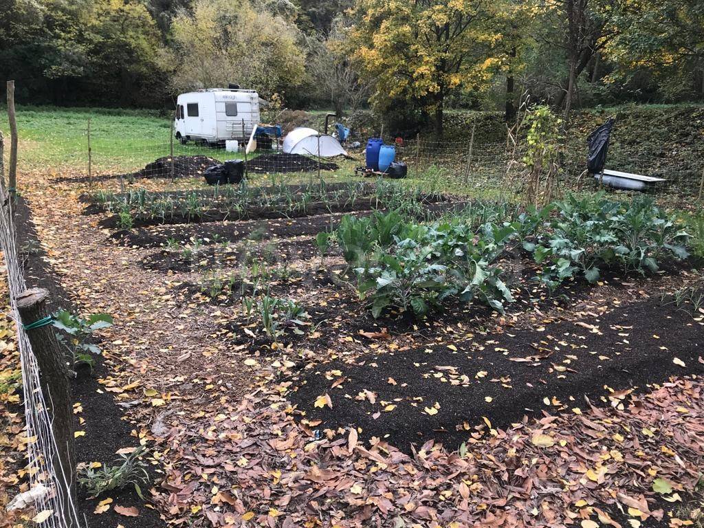 immagine annuncio 3 di 7