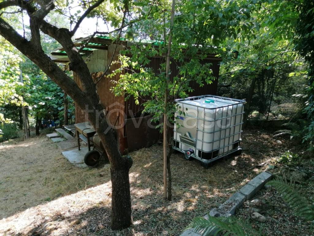 immagine annuncio 4 di 7