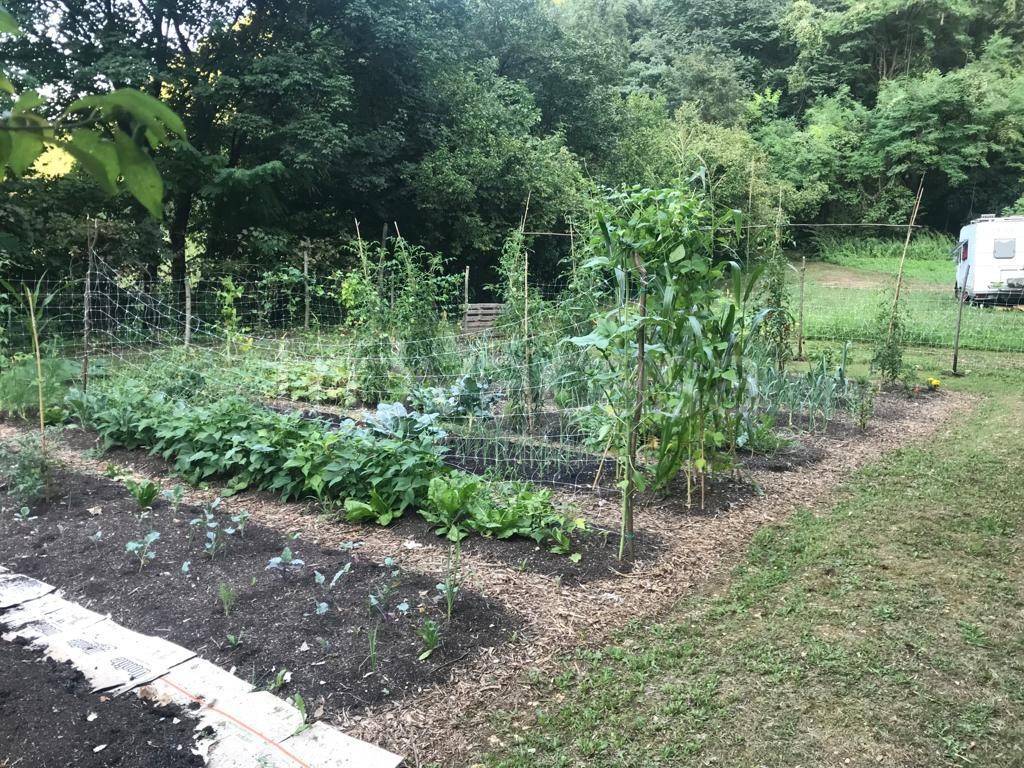 immagine annuncio 6 di 7