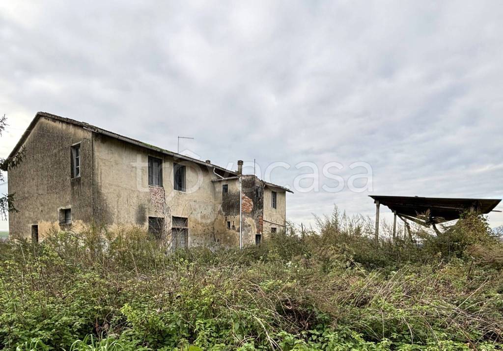 immagine annuncio 4 di 7