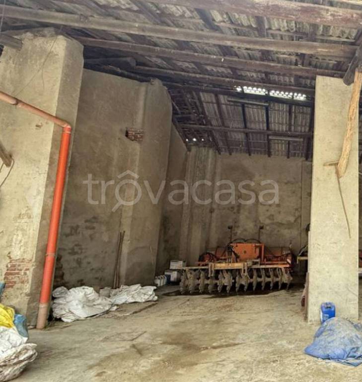 immagine annuncio 8 di 12