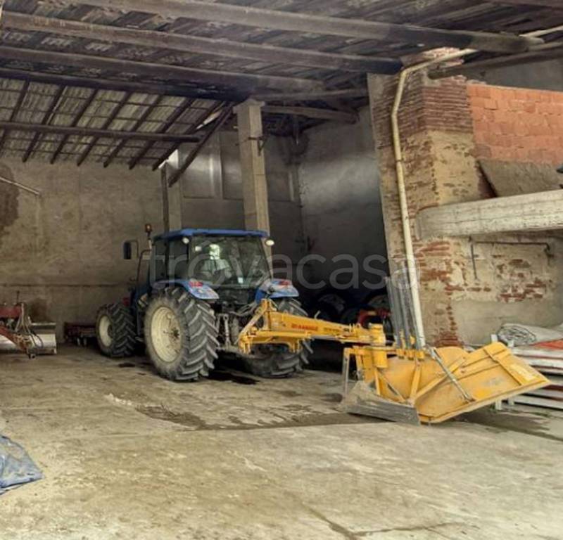 immagine annuncio 9 di 12