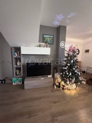 immagine annuncio 2 di 13